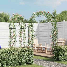 Garden Arch Dark Green Iron 2 pieces Durable Garden Arch